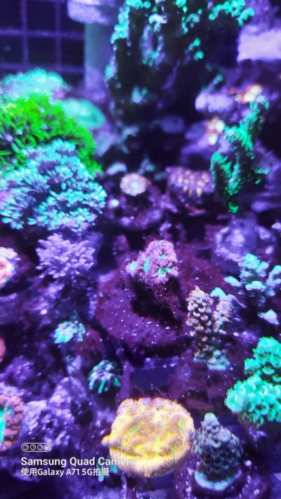 20210720_225452.jpg 20210720_225452.jpg