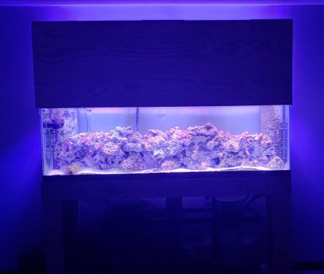 0201201742a_HDR~2.jpg