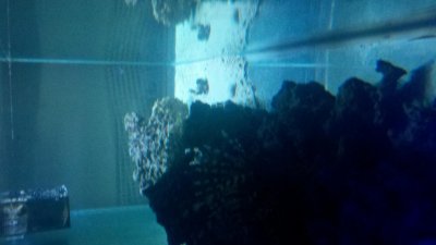 2012-08-22_17-12-47_302.jpg