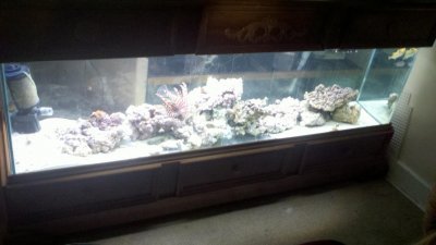2012-08-22_17-15-31_175.jpg