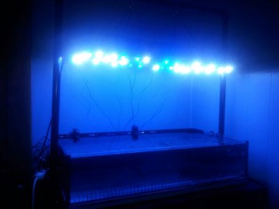 20120827_194548.jpg