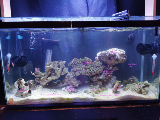 reefplan.png reefplan.png
