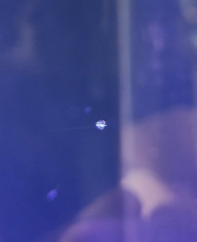 20210730_114348.jpg 20210730_114348.jpg
