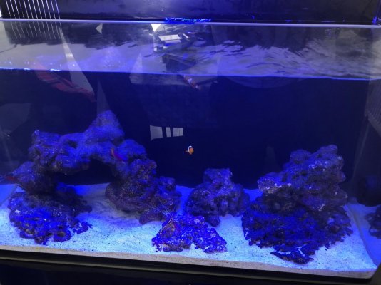 Tank 1.jpg Tank 1.jpg