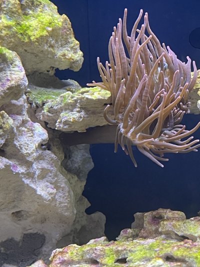 4120C2DF-0FFA-4520-BB04-F82DBA547784.jpeg 4120C2DF-0FFA-4520-BB04-F82DBA547784.jpeg