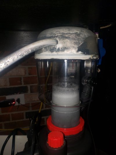 sump3.jpg sump3.jpg