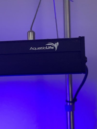 Aquatic Life logo.jpg