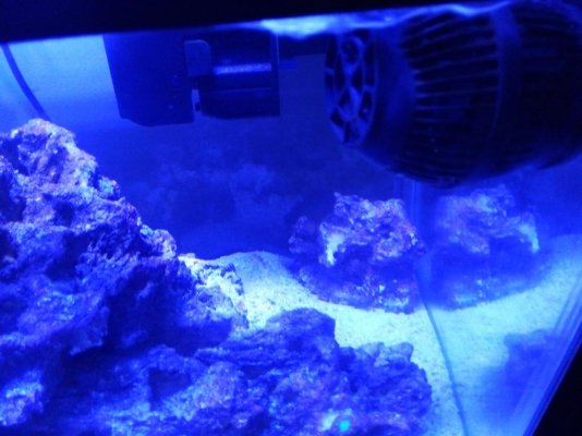 reef 2 reef 3.jpg reef 2 reef 3.jpg