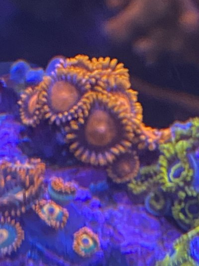 07102B44-A067-4CDD-B56C-C4F3E8D9AF1D.jpeg