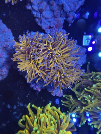 E734220D-0513-43C7-B247-F237FD91ADF6.jpeg E734220D-0513-43C7-B247-F237FD91ADF6.jpeg