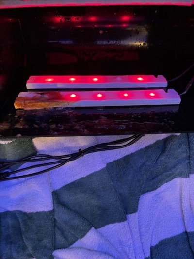 7D0FD821-6FB7-4C15-BD60-CDD26C1FB84F.jpeg