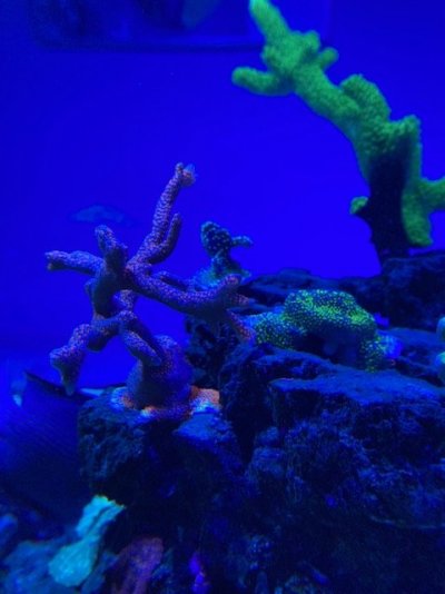 IMG_3187.jpg IMG_3187.jpg
