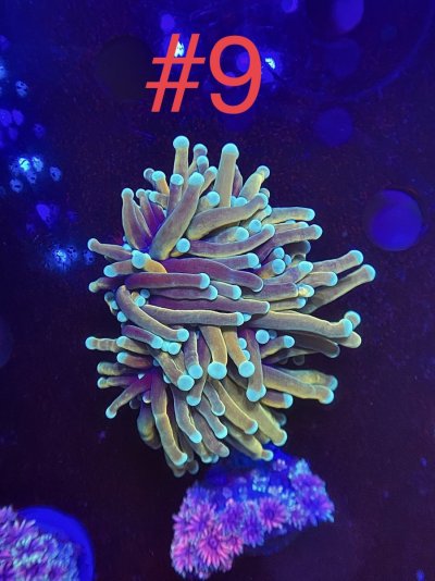 5D662D3B-068E-4448-B1C0-DCD4BB8EF268.jpeg 5D662D3B-068E-4448-B1C0-DCD4BB8EF268.jpeg