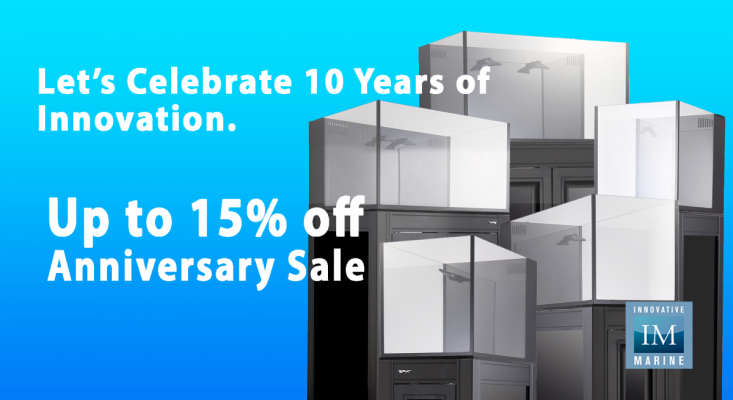 15% anniversay sale.png