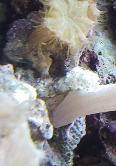 20210824_121554.jpg 20210824_121554.jpg