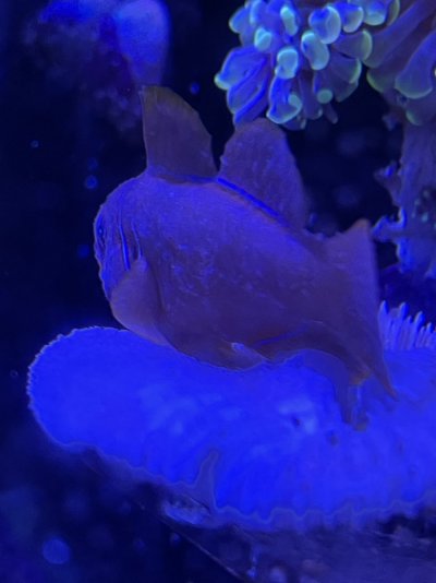 E22705A8-19F7-41BC-B2FC-41B841200F17.jpeg E22705A8-19F7-41BC-B2FC-41B841200F17.jpeg