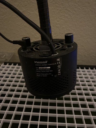 image.jpg image.jpg