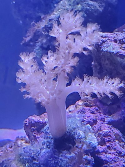 20210827_151145.jpg