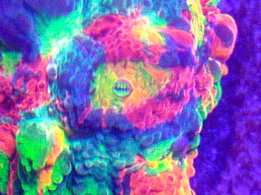 20210901_195158.jpg