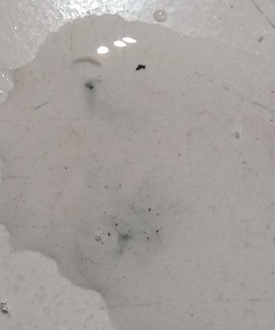 residue in water after decomp..jpg residue in water after decomp..jpg
