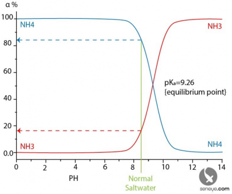 NH3-NH4 equlibrium.PNG NH3-NH4 equlibrium.PNG