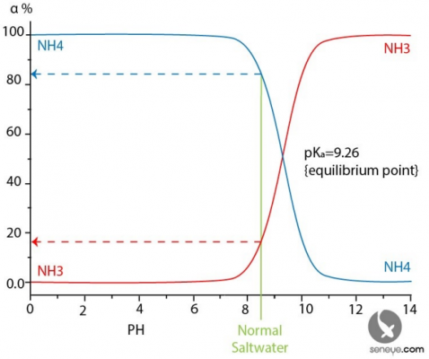 NH3-NH4 equlibrium.PNG