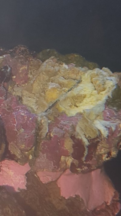 20210905_074253.jpg