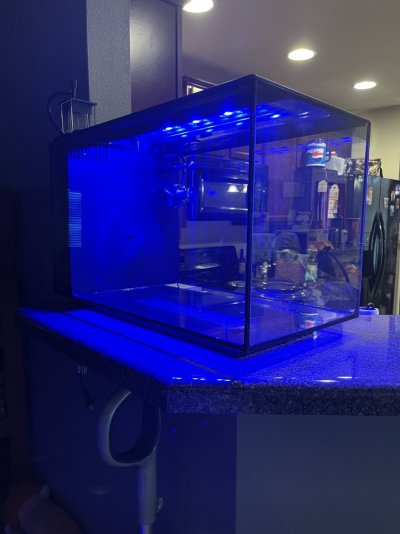 IMG_6635.jpeg IMG_6635.jpeg