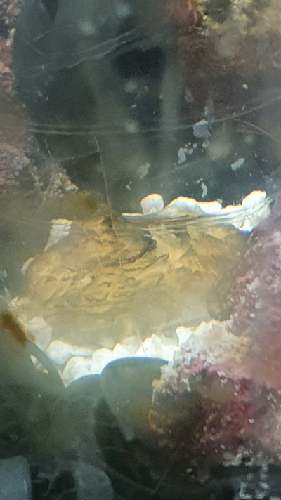 20210914_165041.jpg