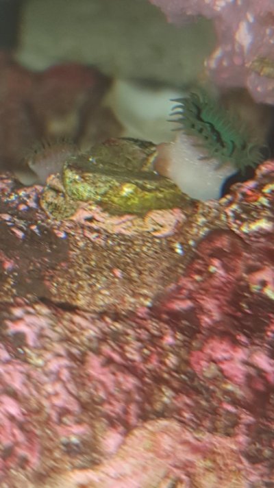 20210914_231135.jpg