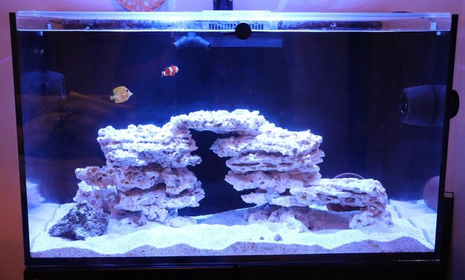 FTS916.jpg