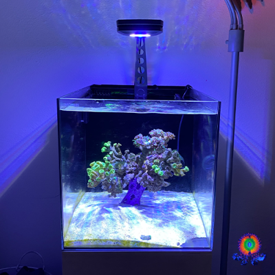 AI Prime WaterBox Light Mount Front_.png