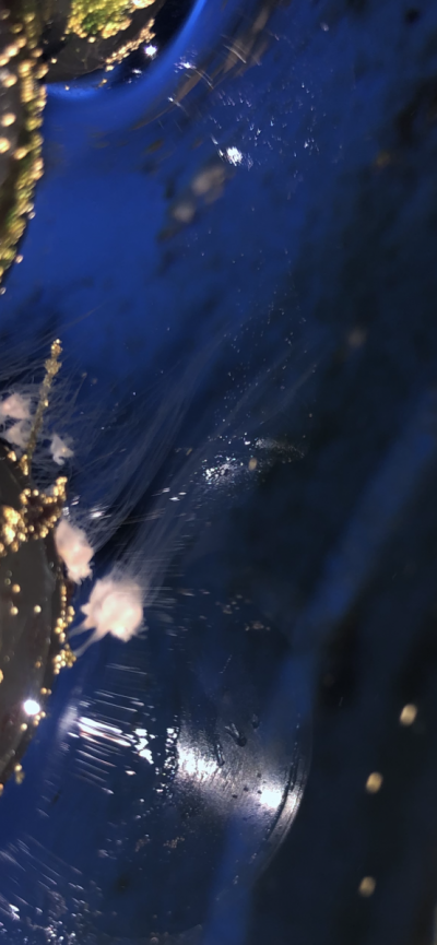 0AAFCDEB-325E-4294-BD74-676E6FD90EE7.png 0AAFCDEB-325E-4294-BD74-676E6FD90EE7.png