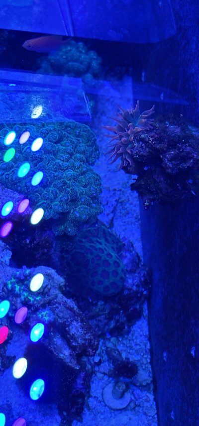 20210901_183605.jpg