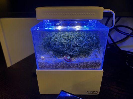 minicompletetank reef