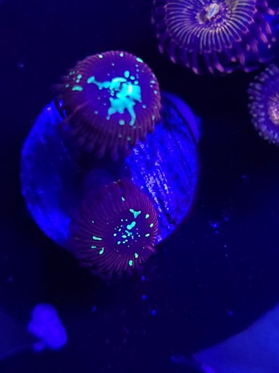 20210929_201902.jpg