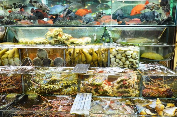 81034916-variety-of-fresh-live-seafood-being-chosen-in-a-restaurant-in-hong-kong.jpg