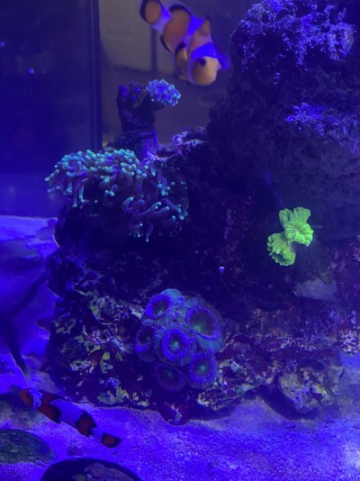 F078077D-1D9C-40AE-AD92-0542B879F744.jpeg