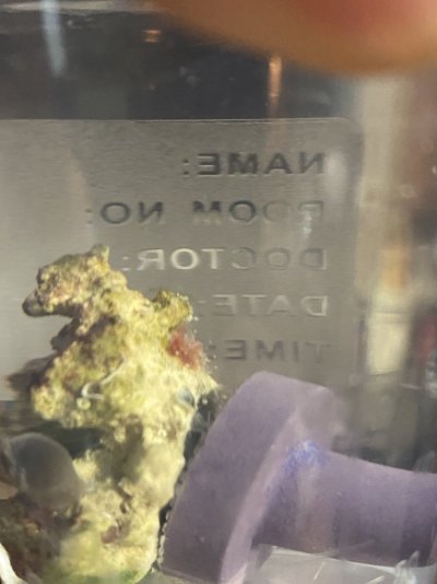 6647A4E2-BAA9-4AF8-B2EA-D2D1C5083E2A.jpeg