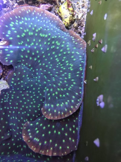 D6153BB7-C78E-4554-9E5D-DAA07392DD6C.jpeg