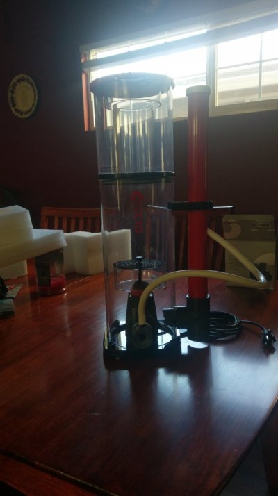 IMAG0505.jpg