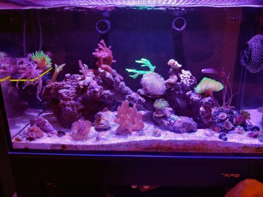FTS_102021.jpg