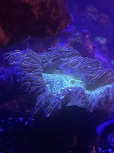 F1051520-B2CE-40F1-891A-E779462A4AC9.jpeg