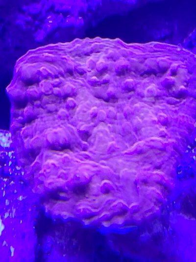 20211106_123227.jpg 20211106_123227.jpg