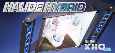 Hybrid Halide Pendant with XHO High Power LED Bars.jpg
