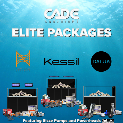 Elite Packages Together (2).png Elite Packages Together (2).png