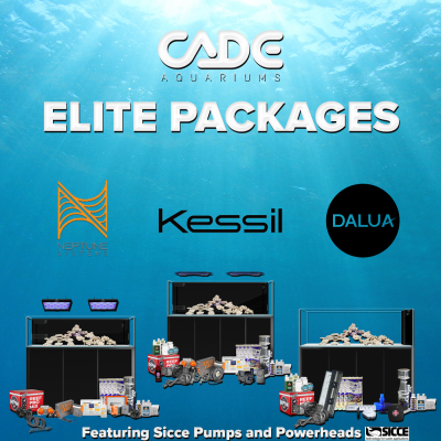 Elite Packages Together (2).png