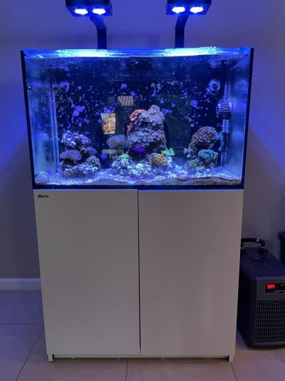 Moving out of state need to sell tank