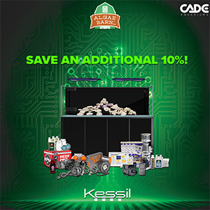 kessil10%.png kessil10%.png