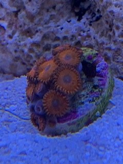 IMG_2201.jpg IMG_2201.jpg